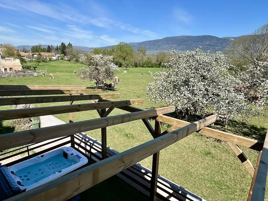 Holiday home Maison Des Vues Imprenables, Jacuzzi, 1H15 Geneva Champagne-en-Valromey